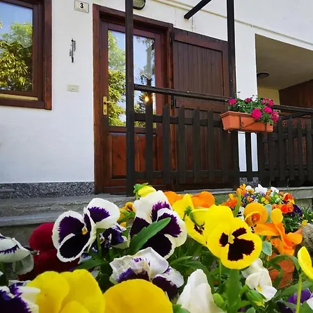 Daire La Casa Del Ciliegio