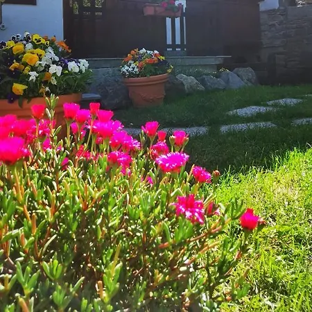 La Casa Del Ciliegio Daire Cerise